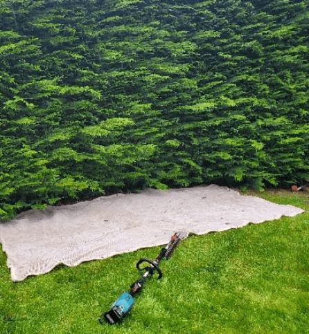 Chip mesh and hedge trimmer